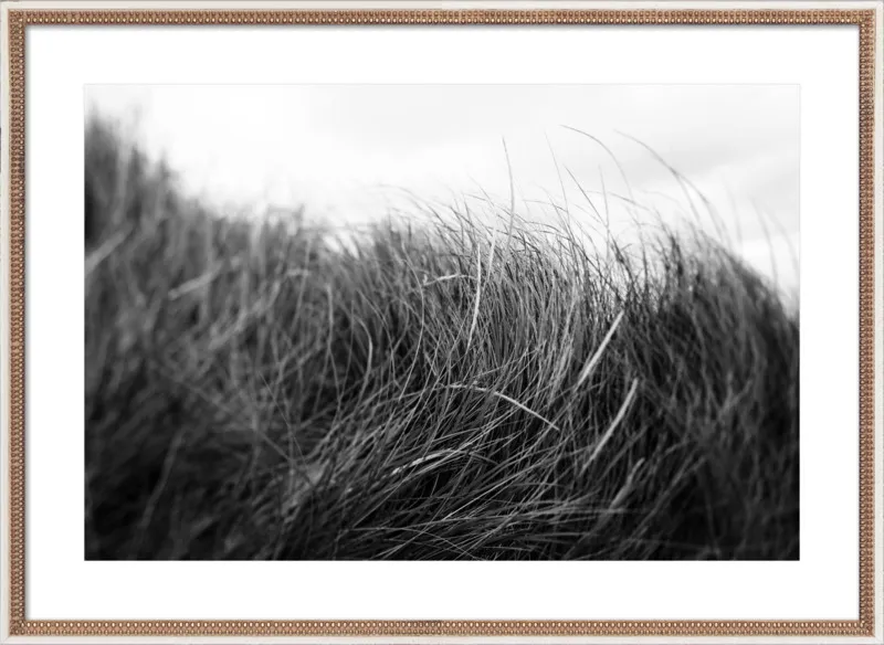 Beach Grass #3 by Alicia Bock for Artfully Walls