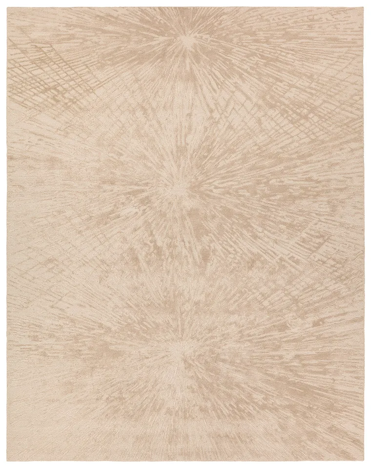 Odilia FRG13 Handmade Contemporary Tan Area Rug (10'x14')