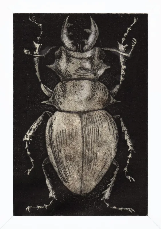 Grey Beetle on Black by Tennopent Sooster for Artfully Walls