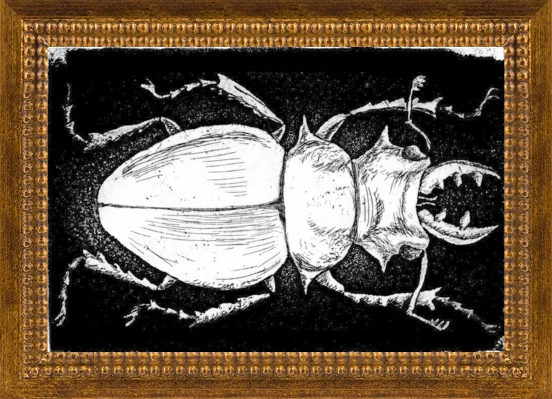 White Beetle on Black by Tennopent Sooster for Artfully Walls