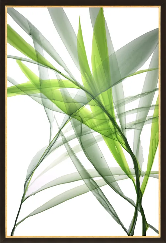 Tropical Study no. 3 by Marina Dunbar  for Artfully Walls