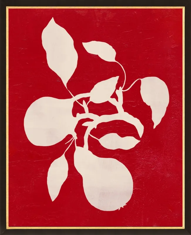 pears by Ruti Shaashua for Artfully Walls