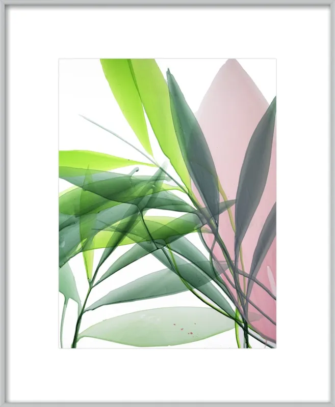 Tropical Study no. 15 by Marina Dunbar  for Artfully Walls