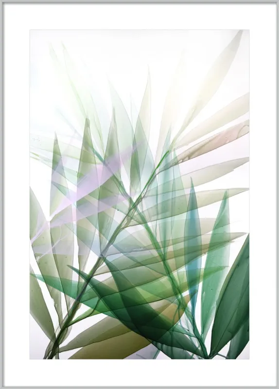 Tropical Study no. 8 by Marina Dunbar  for Artfully Walls