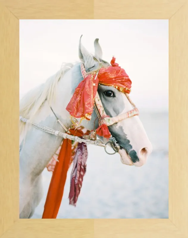 Marwari by Andrew Jacona for Artfully Walls