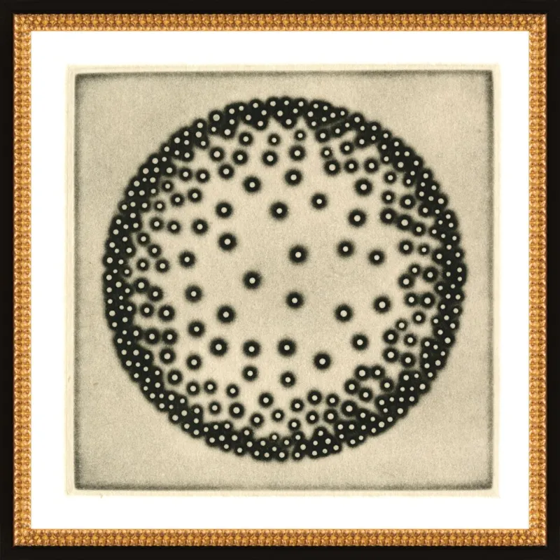 Five Elements - Wood by Eunice Kim for Artfully Walls