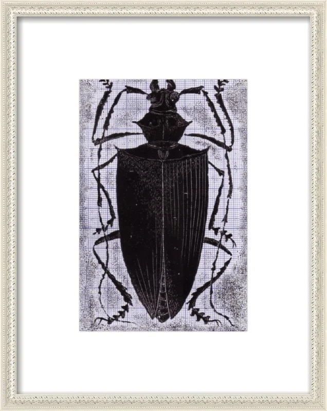 Black Beetle on Grey by Tennopent Sooster for Artfully Walls