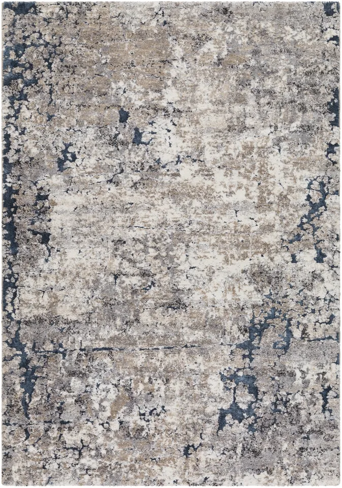 Tuscany Gray Indoor 2' x 2'11" Machine Woven Rug