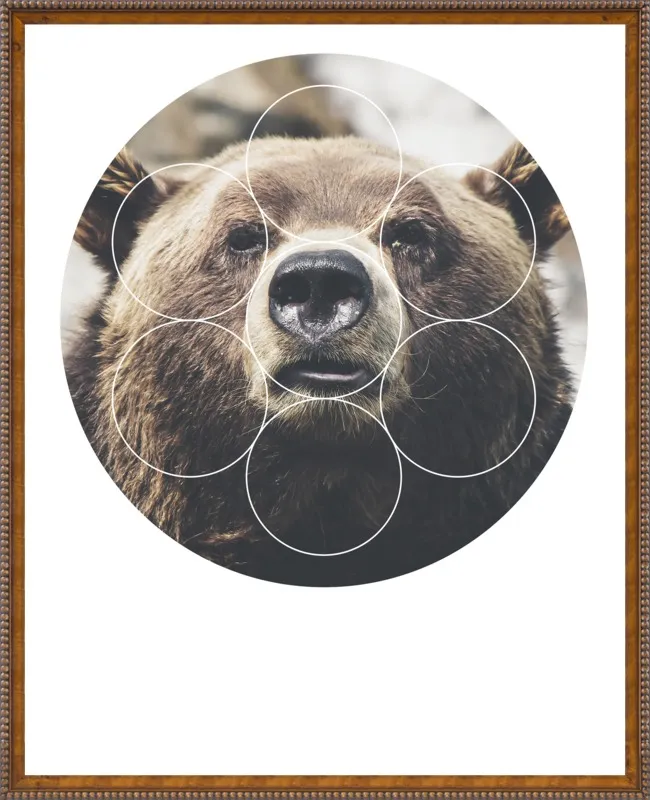 Big Bear Buddy - Geometric Photography by Emiliano Deificus for Artfully Walls