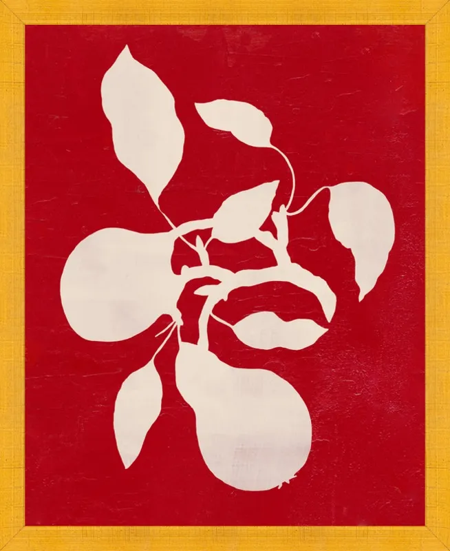 pears by Ruti Shaashua for Artfully Walls