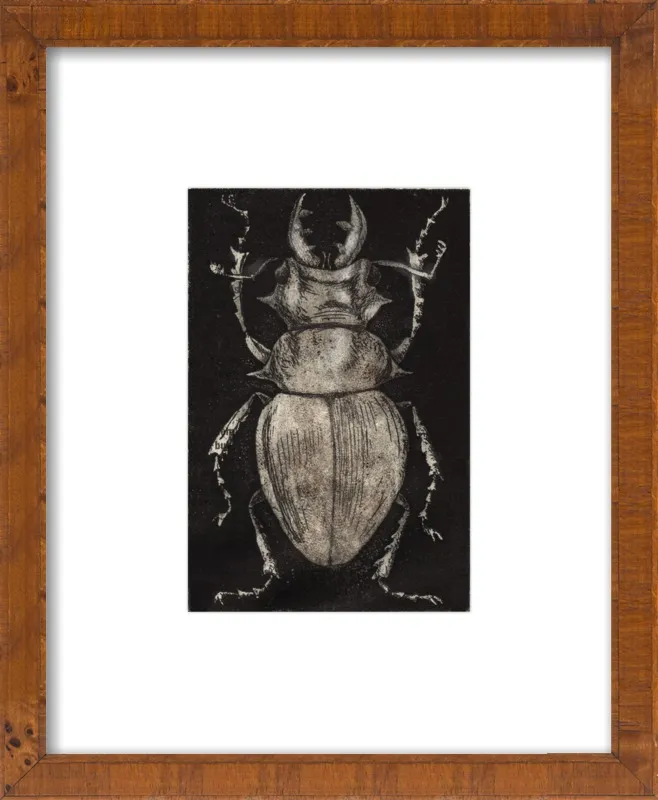 Grey Beetle on Black by Tennopent Sooster for Artfully Walls