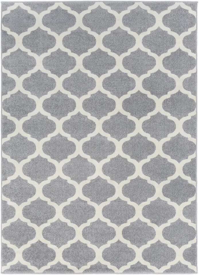 Horizon Gray Indoor 3'3" x 4'11" Machine Woven Rug
