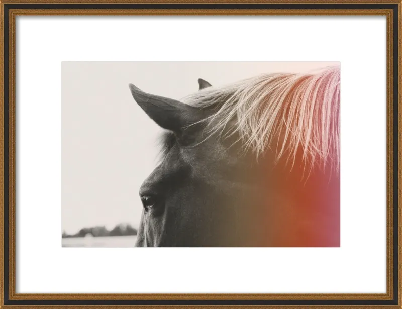 Pink Pony by Alicia Bock for Artfully Walls