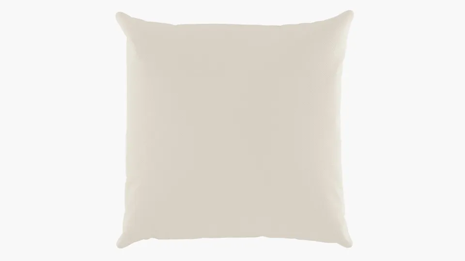 Outdoor 16" Throw Pillow, Canvas, 16" x 16"