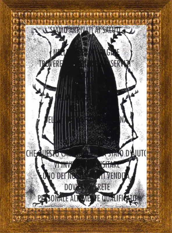 Black Beetle on Words by Tennopent Sooster for Artfully Walls