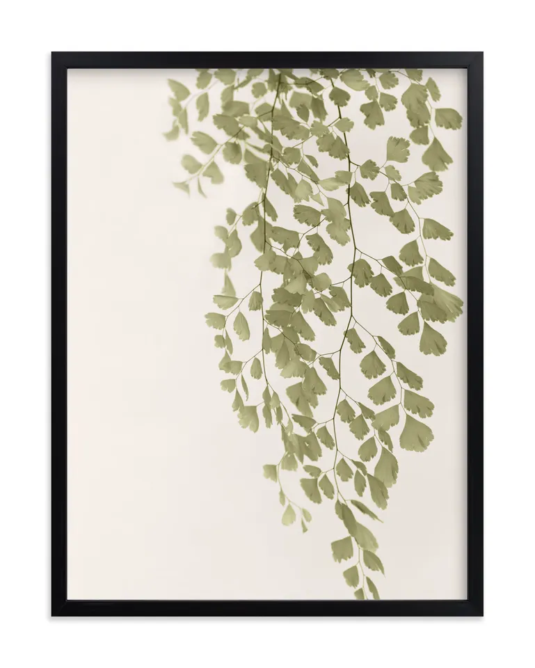 Softness Limited Edition Fine Art Print