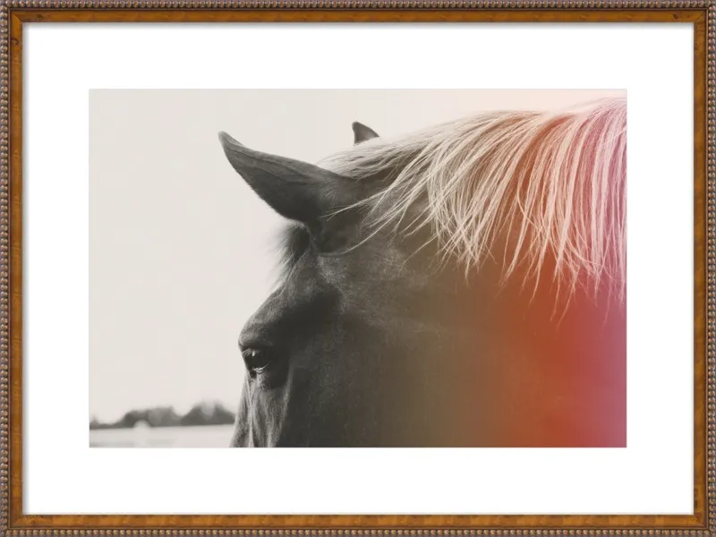 Pink Pony by Alicia Bock for Artfully Walls