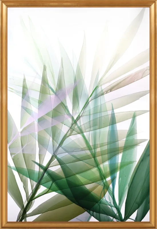 Tropical Study no. 8 by Marina Dunbar  for Artfully Walls