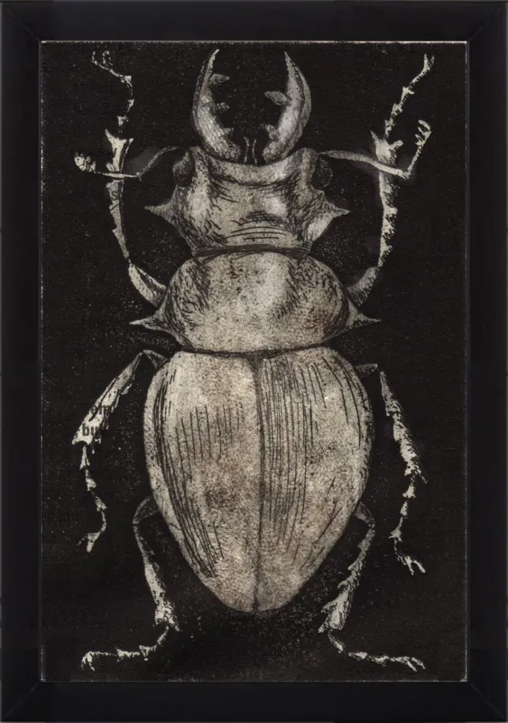 Grey Beetle on Black by Tennopent Sooster for Artfully Walls