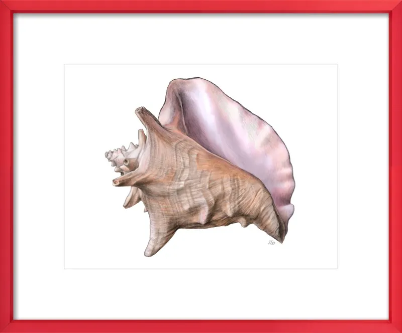 Queen conch  by Emily S. Damstra for Artfully Walls