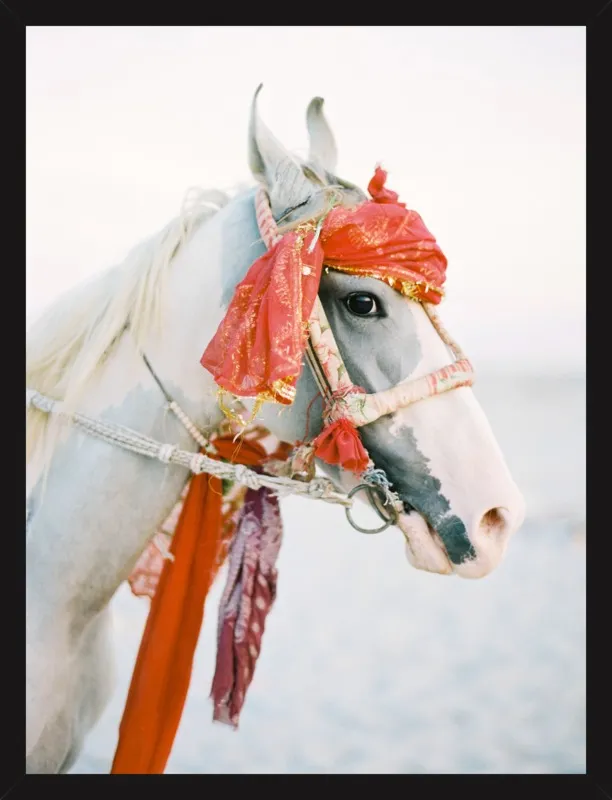 Marwari by Andrew Jacona for Artfully Walls