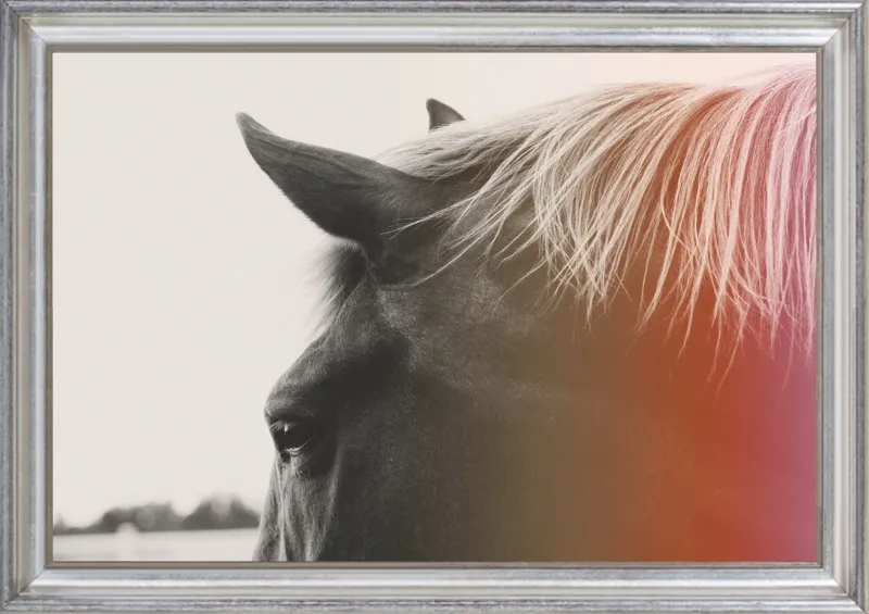 Pink Pony by Alicia Bock for Artfully Walls
