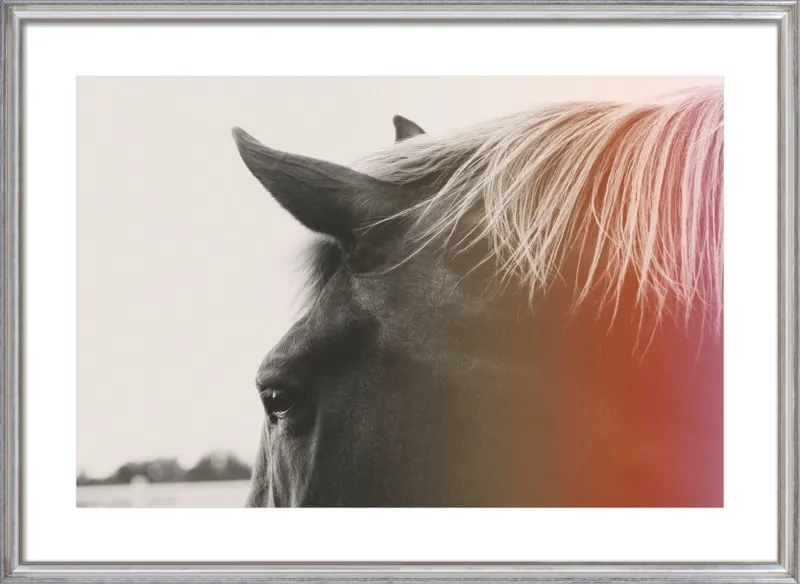 Pink Pony by Alicia Bock for Artfully Walls