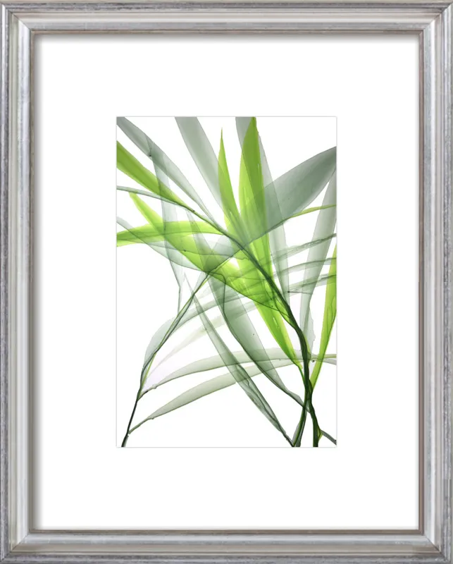 Tropical Study no. 3 by Marina Dunbar  for Artfully Walls