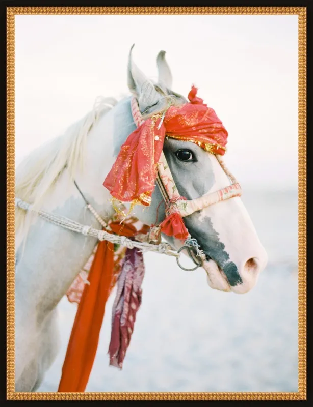 Marwari by Andrew Jacona for Artfully Walls