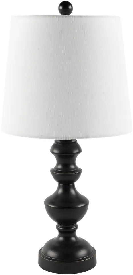 Proteus Black Painted 23"H x 11"W x 11"D Accent Table Lamp