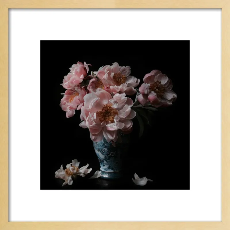 Pink Peonies  by Lucy Snowe for Artfully Walls