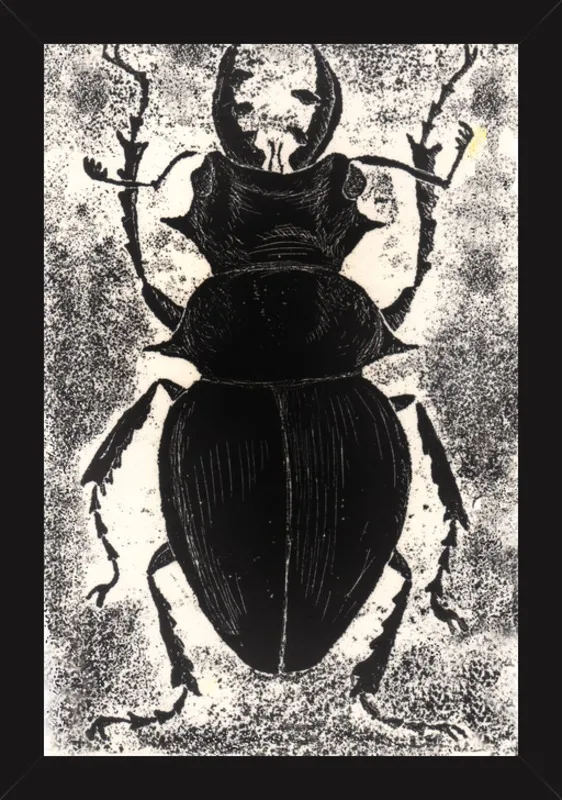 Black Beetle on White by Tennopent Sooster for Artfully Walls