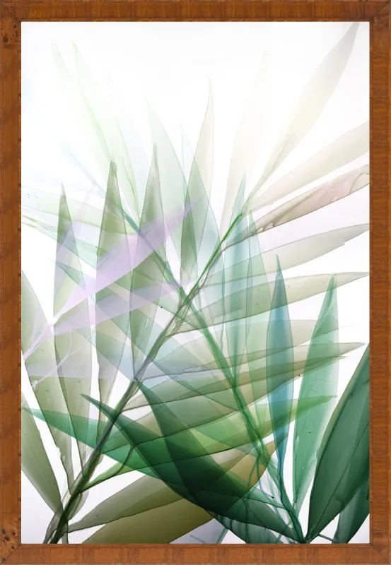 Tropical Study no. 8 by Marina Dunbar  for Artfully Walls