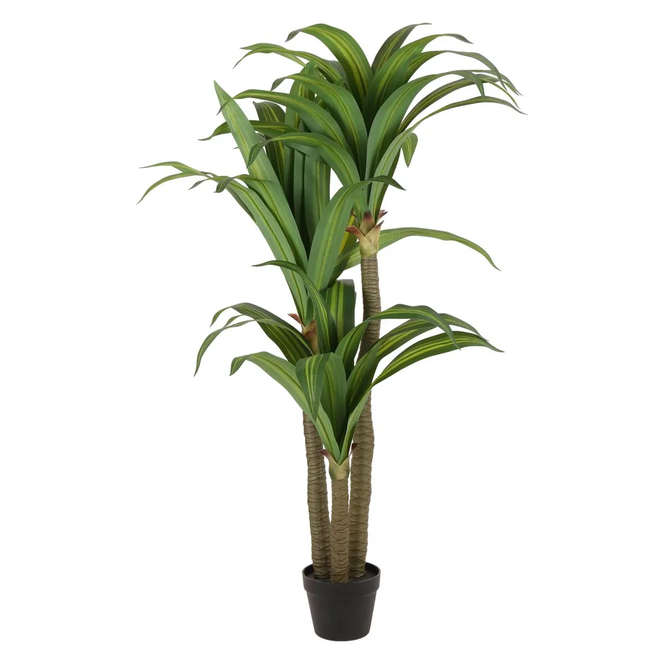 Faux 59'' Dracaena Tree - Green / Black