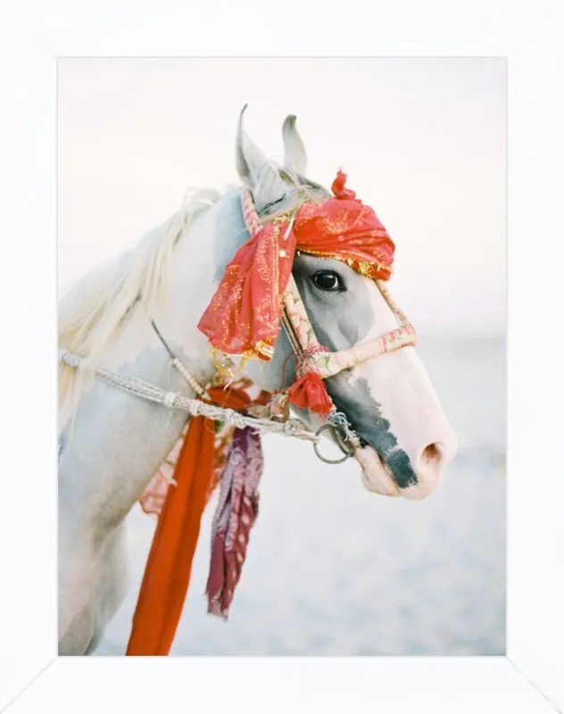 Marwari by Andrew Jacona for Artfully Walls