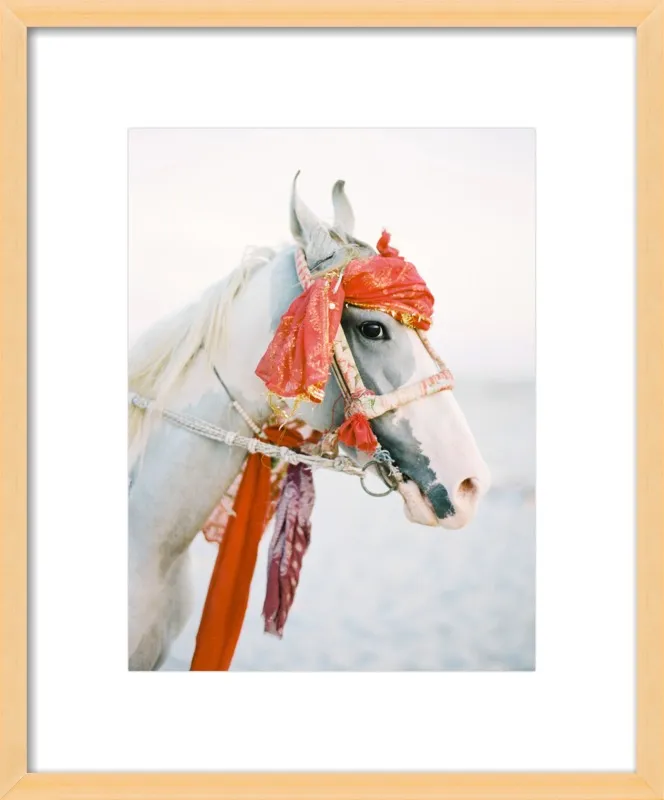 Marwari by Andrew Jacona for Artfully Walls