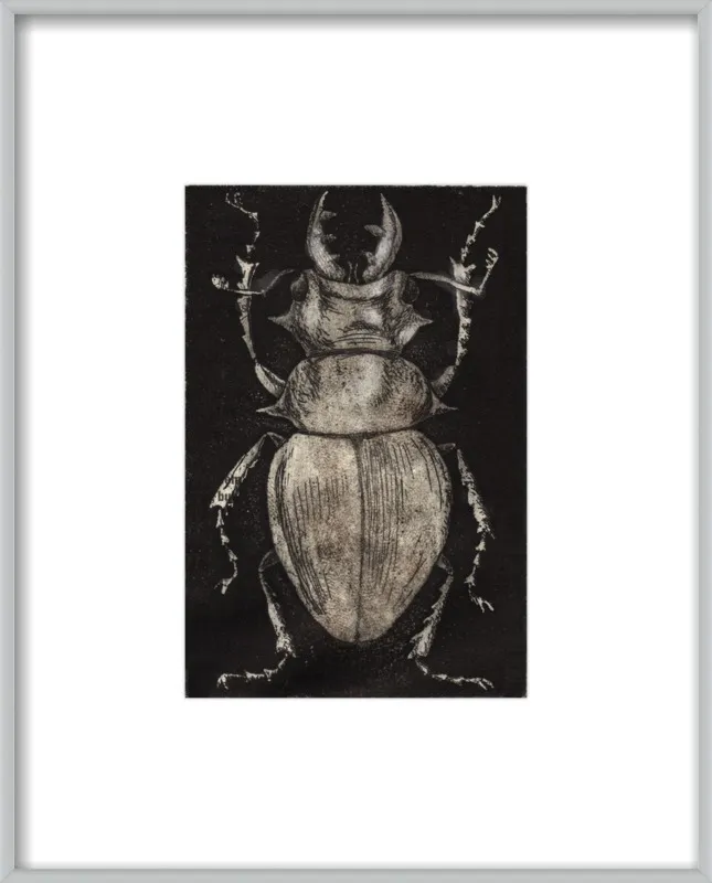 Grey Beetle on Black by Tennopent Sooster for Artfully Walls