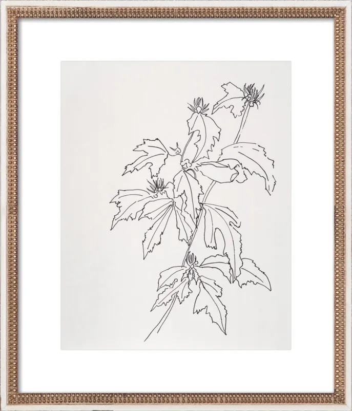 Leaves Rose of Sharon by Casey Chalem Anderson for Artfully Walls