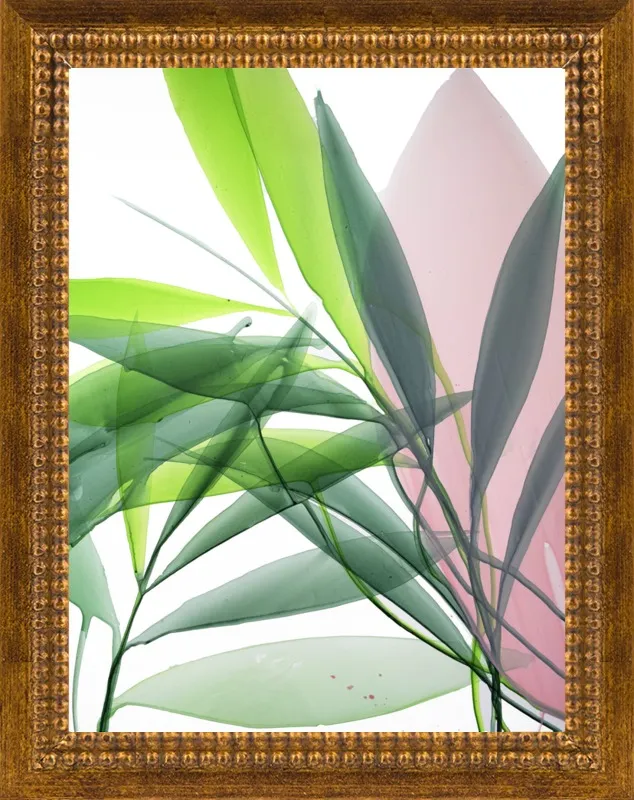 Tropical Study no. 15 by Marina Dunbar  for Artfully Walls