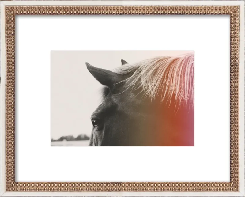 Pink Pony by Alicia Bock for Artfully Walls