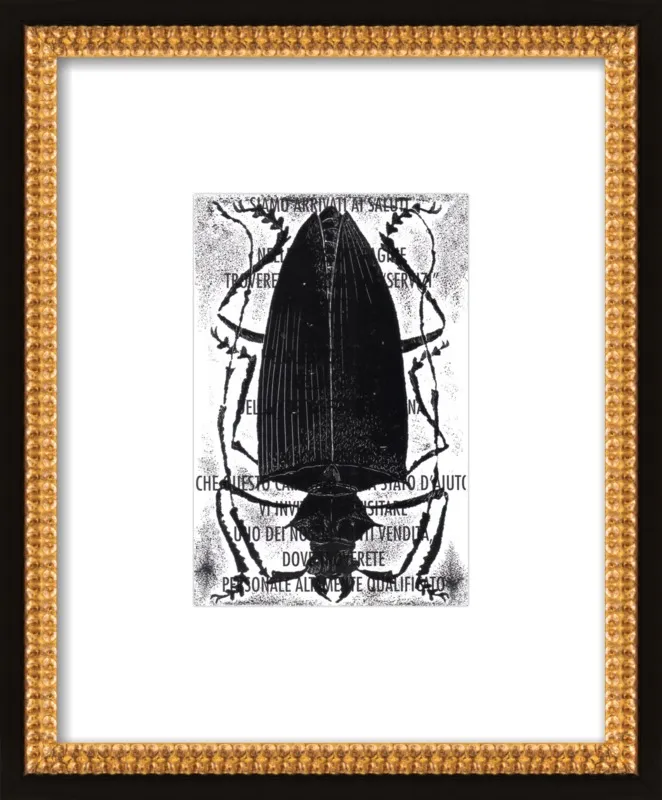Black Beetle on Words by Tennopent Sooster for Artfully Walls
