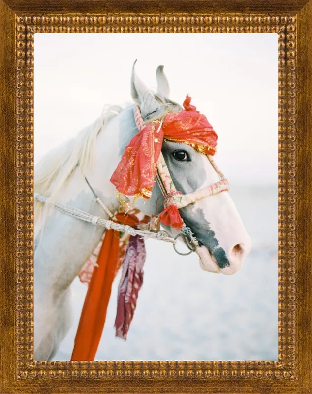Marwari by Andrew Jacona for Artfully Walls