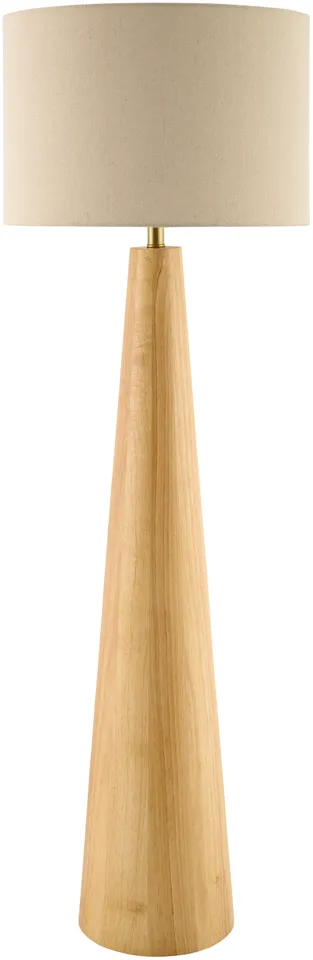 Baobab  Natural 53"H x 17"W x 17"D Accent Floor Lamp