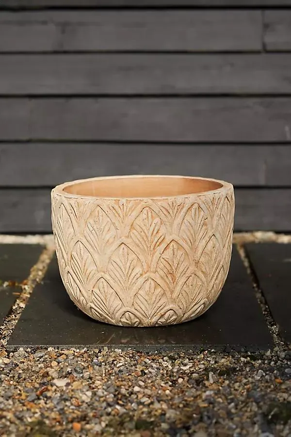 Paloma Ceramic Bowl Planter