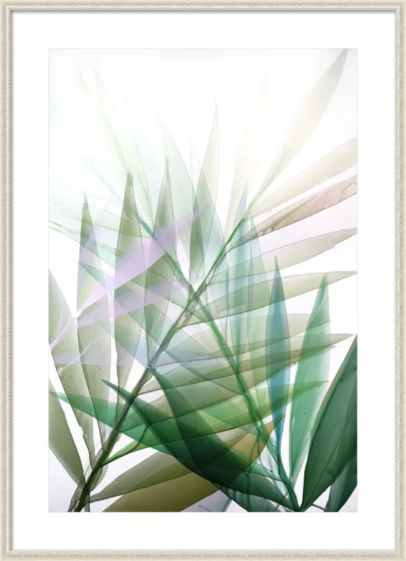 Tropical Study no. 8 by Marina Dunbar  for Artfully Walls