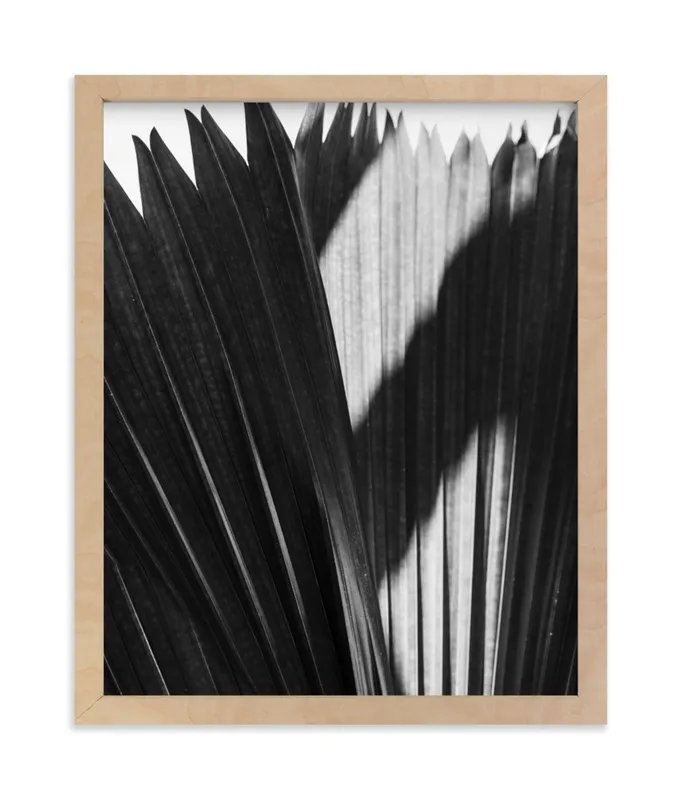 Palmery 2 Limited Edition Fine Art Print