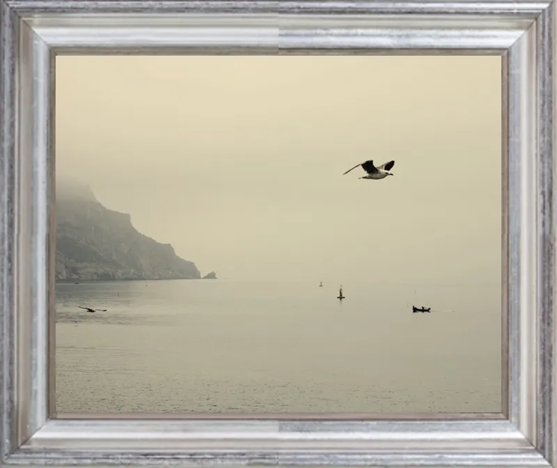 one day I will fly away by Ingrid Beddoes for Artfully Walls
