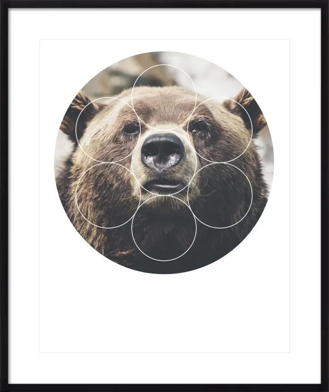 Big Bear Buddy - Geometric Photography by Emiliano Deificus for Artfully Walls