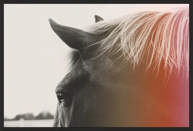 Pink Pony by Alicia Bock for Artfully Walls