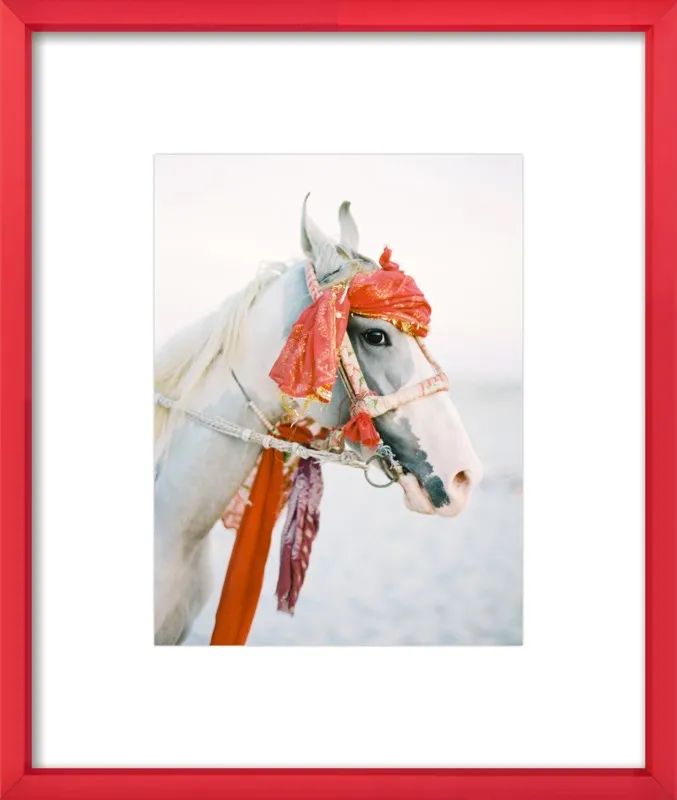 Marwari by Andrew Jacona for Artfully Walls